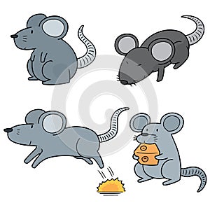 Vector set of mouse