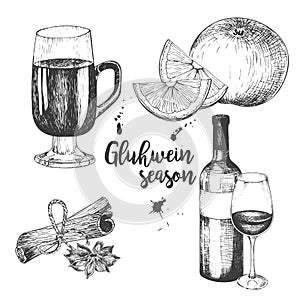 Vector set of mulled wine. Bottle, glass, orange, apple, cinnamon sticks, anise. Vintage engraved style.