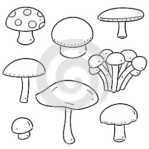 Vector set of mushrooms