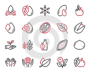 Vector Set of Nature icons related to Peanut, Oil drop and Water splash. Vector