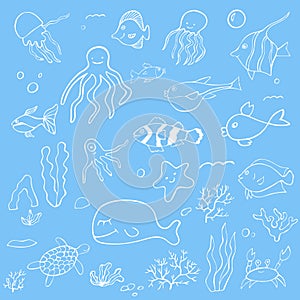 Vector set ocean day, marine life, coral reef, ocean in doodle style,white color