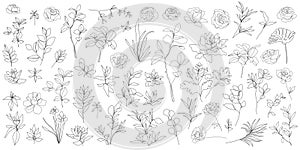Vector set of one line art flowers, continuous monoline plants, roses, leaves, branches. Blossom logos, minimalist