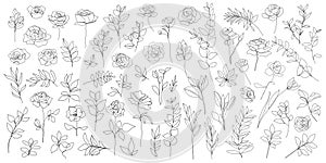 Vector set of one line art flowers, continuous monoline plants, roses, leaves, branches. Blossom logos, minimalist