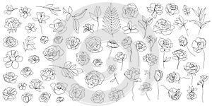 Vector set of one line art flowers, continuous monoline plants, roses, leaves, branches. Blossom logos, minimalist