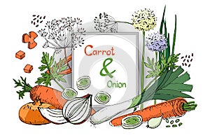 Vector set of onion and carrot.