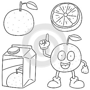 Vector set of orange