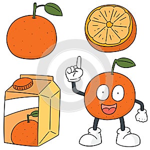 Vector set of orange