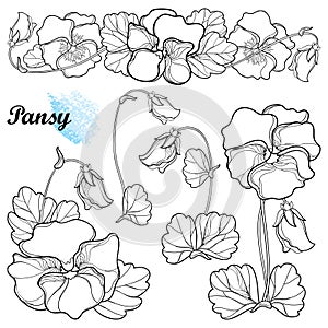 Vector set with outline Pansy or Heartsease or Viola tricolor flower, bud and ornate leaf in black isolated on white background.