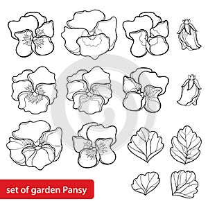 Vector set with outline Pansy or Heartsease or Viola tricolor flower and leaf in black isolated on white background.