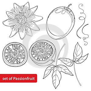 Vector set with outline Passion fruit or Maracuya. Half fruit, leaf and flower isolated on white background.