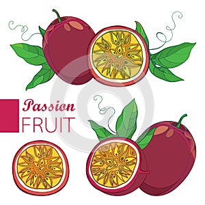 Vector set with outline Passion fruit or Maracuya. One and half fruit, leaf and flower isolated on white background.