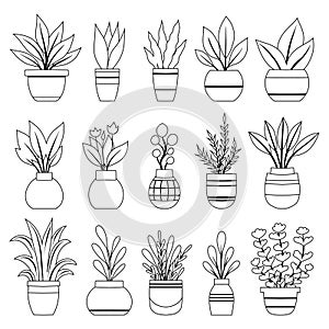 Vector set of outline various plants in vases. Collection of monochrome clip arts contour flowers in pots for home decoration