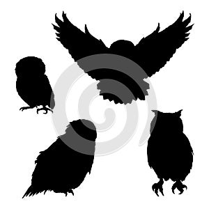 Vector Set of Owl Silhouette Illustrations