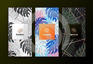 Vector set packaging templates with abstract texture for nature tropical products.