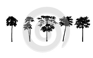 Vector set. papayas trees silhouettes on white background. illustration.