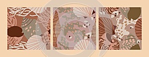 Vector set pattens for with sea shells. Seamless marine patterns or wrapping paper for package. Contemporary modern trendy texture