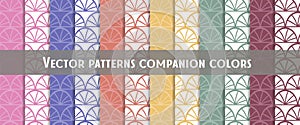 vector set pattern companion colors
