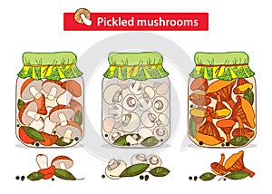 Vector set with pickled orange-cap boletus, chanterelles and champignons mushroom in glass jar with bay leaf and black pepper. photo