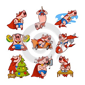 Vector set of pig superhero in different actions. Funny humanized animal in red mask and mantle. Cartoon character