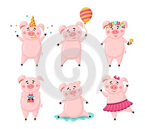 Vector set of pigs cute cartoon character in different poses isolated on white background. Collection piggy with