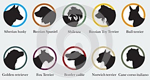 Vector set of portraits silhouettes of dog breeds