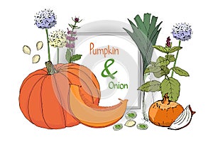 Vector set with pumpkin and onion.