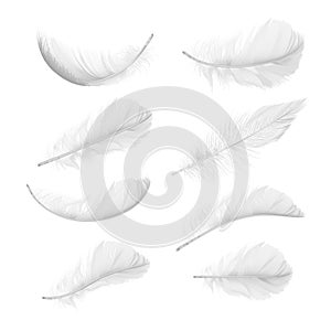 Vector set of realistic bird feathers in various positions and angles isolated on background