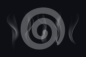 Vector Set of Realistic White Transparent Cigarette Smoke Waves Isolated