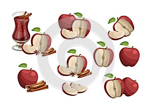 Vector set of red apples, cut still life collection, whole and sliced natural apples with green leaves and stems isolated on white