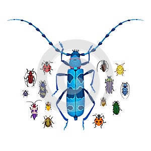 Vector set with Rosalia longicorn and small colorful bugs. Cartoon handdraw illustration photo