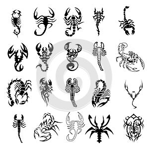 Vector set of scorpion symbols