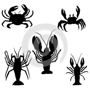 Vector Set of Sea Animals Silhouettes. Omar, Lobster and Crab