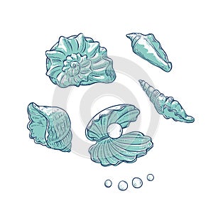 Vector set sea shells and pearls different shapes. Clamshells monochrome outline sketch illustration isolated on white