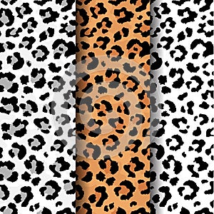 Vector set of seamless pattern of wild leopard skin print