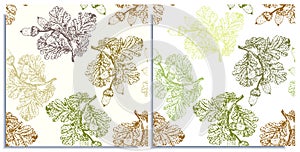 Vector set of seamless patterns with wonderful outline oak branch with leaves, acorns, hand-drawn in graphic and real