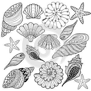 Vector set Shells, zentangle seashells for adult anti stress Col photo
