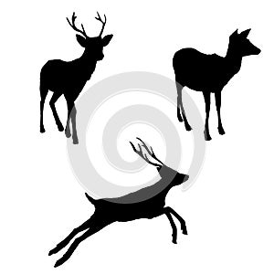 Vector Set of Silhouette Deer Illusrations