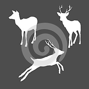 Vector Set of Silhouette Deer Illusrations