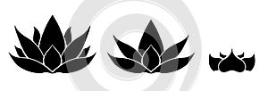 Vector set of silhouette of lotus. kit of black water flower for icon. Natural sacred symbol for spa and yoga logo