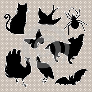 Vector set silhouettes cat, bird, spider butterfly, dog peacock, bat.