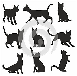 Vector silhouettes of cats.