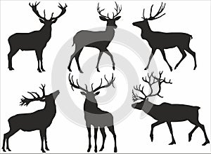 Vector set of silhouettes of deer.