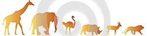 Vector set of six african safari animals in orange