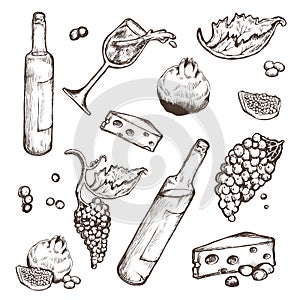 Vector set of sketches beverage and food on a white background. Wine bottle, wineglass, fruit, piece, the branches the