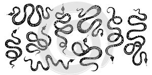 Vector set of snakes with ethnic ornament. Silhouettes of snakes with Scandinavian motives, totem animal snake graphic