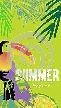 Vector set of social media stories templates. Summer bright tropical backgrounds photo