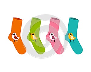 Vector set socks patterned twitter bird on white
