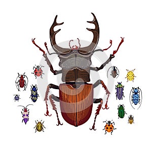 Vector set with stag beetle and small colorful bugs. Cartoon handdraw illustration