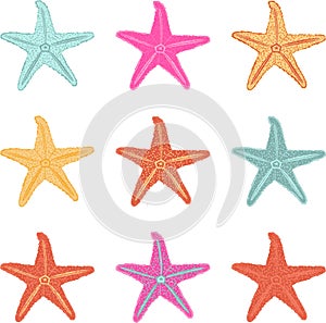 Vector set of starfish in different colors