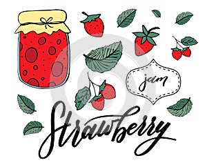 Vector set of strawberries, leafs and jam jar, iso;ated on white backgroung